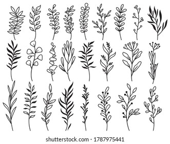 Set of branches with leaves. Collection of decorative floral elements. Natural herbs. Line Art. Vector illustration of botanical design isolated on white background. Decor for festive invitations.