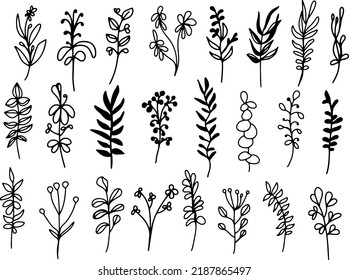 Un conjunto de ramas con hojas. Colección de elementos florales decorativos. Hierbas naturales. Ilustración vectorial hecha a mano de un diseño botánico aislado sobre un fondo blanco. Decoración para invitaciones.