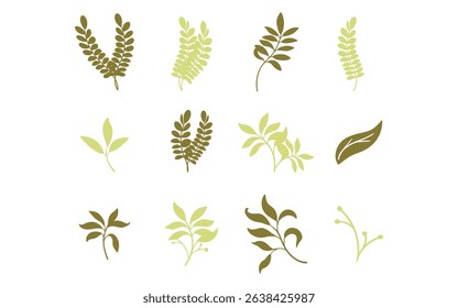 Set of branches and leaves design, vector, isolated on transparent background