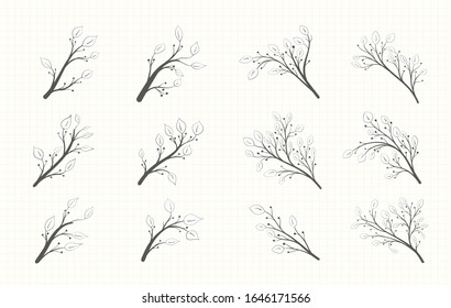 A set of branches with leaves of different shapes and berries in a gray tone in vintage style isolated on a notebook sheet
