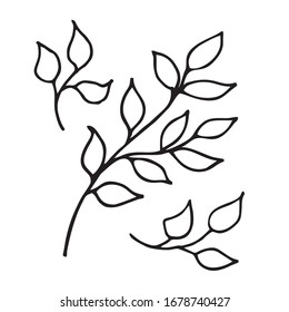 Un conjunto de ramas con hojas, dibujadas a mano. Ilustración vectorial aislada en un fondo blanco. Negro y blanco, contorno.