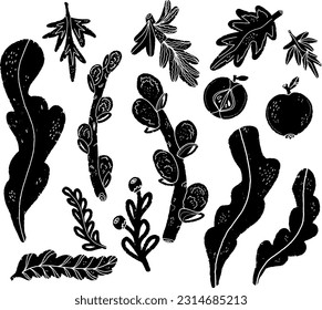 Set branches and leaves, floral motifs. Grunge texture black element. Illustration in linocut style, folk art, Scandinavian style. Element for design.