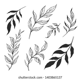 Set Of Branches With Leaves. Hand Drawn Decorative Elements. Vector Outline