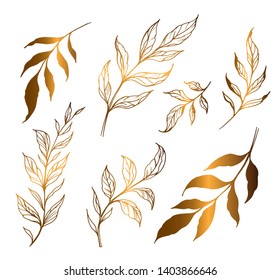 Set of branches with leaves. Hand drawn decorative elements. Vector golden outline