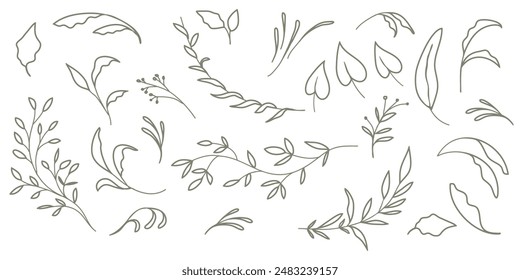 Set of branches and leaves. Hand drawn vector botanical elements.Vector illustration