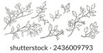 Set of branches with leaves in minimal line art style. Hand drawn sketch vector botanical elements