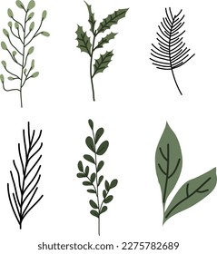 Eine Reihe von Ästen und Blättern. Vektorzweige sind grün. Vektorgrafiken von Winterblättern und Ästen. Spruce Zweige.