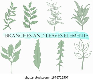 Set of branches and leaves, vector. Simple botanical green design elements. Hand drawing.