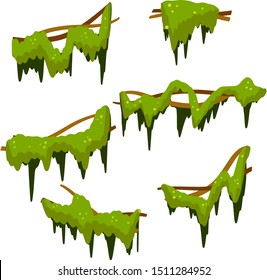 Set of branches with moss and green grass. Cartoon flat illustration. Part of scenery of jungle. Swamp bog vine of trees. Marsh plant