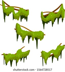 Set of branches with moss and green grass. Part of scenery of jungle. Swamp bog vine of trees. Marsh plant. Cartoon flat illustration. Element of tropical forest