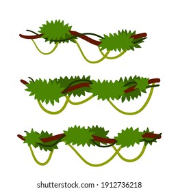 Set of branches with moss and green grass. Part of scenery of jungle. Swamp bog vine of trees. Marsh plant. Element of tropical forest. Cartoon flat illustration
