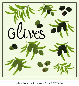 Set with branches and olive fruits. Vector. Decor element. Suitable for label or kitchenware design.