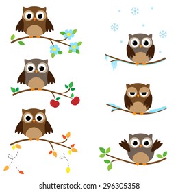 Set of branches with sitting owls. Different seasons of the year