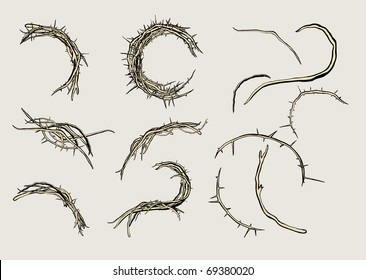 Set of branches and thorn plants
