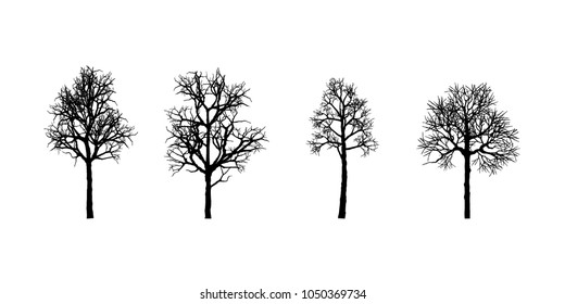 Set of branches. Trees are formed from these branches. plant silhouette icons, tree and branches silhouette, detailed vector illustration.   