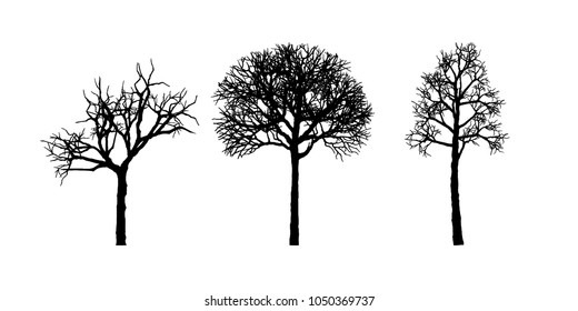 Set of branches. Trees are formed from these branches. plant silhouette icons, tree and branches silhouette, detailed vector illustration.   