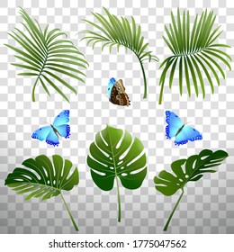 set of branches of tropical plants and butterflies on a transparent background