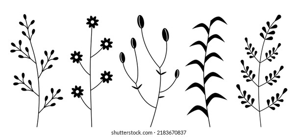 Satz von Zweigen und Zweigen mit Blättern auf weißem Hintergrund. Vektorgrafik handgezeichneter Pflanzenelemente.