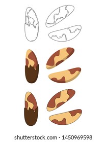 Set of brasil nuts in three styles - outline, flat, cartoon. nut icons for design and web isolated on white background.