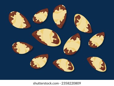 Set with Brazil seeds delicious fresh nuts organic food healthy food Falling in the air, isolated on a dark background. Food float concept Vector illustration. Easy fix.