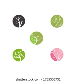 Set Breach Logo Template vector symbol nature