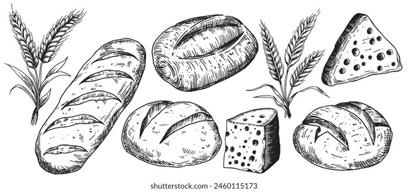 set of bread and cheese. vector drawing in sketch style