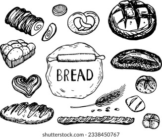Set of bread hand drawn illustration. Types of wheat, flour fresh bread. Gluten food bakery collection