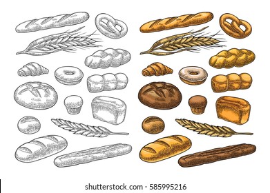 Set bread. Isolated on the white background. Vector color hand drawn vintage engraving illustration for poster, label and menu bakery shop.