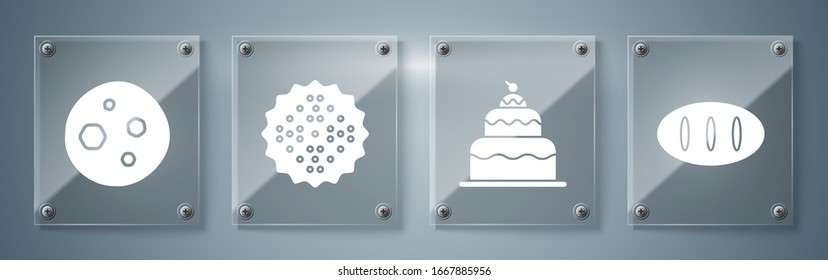 Set Bread loaf , Cake , Cracker biscuit  and Cookie or biscuit with chocolate . Square glass panels. Vector