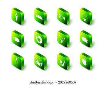 Set Bread loaf, Chicken leg, Broccoli, Taco with tortilla, Plum fruit, Sausage on the fork, Avocado and Donut icon. Vector