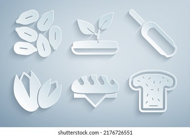 Set Bread loaf, Scoop flour, Pistachio nuts, toast, Sprout and Seed icon. Vector
