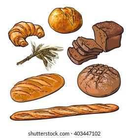 Set bread products, pastries vector on a white background, sliced loaf, French baguette, rye bread, wheat branch, cutting cakes, croissants, colored sketch style hand-drawn, bakery products, rooty