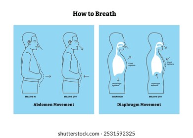 Conjunto de respiração passo a passo guia cartaz design, movimento do abdômen e movimento do diafragma, Diafragmática respiração profunda exercício técnicas para alívio de estresse ou relaxar e anatomia pulmonar médica.