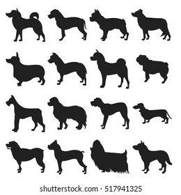 Set of breeds dogs silhouette