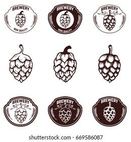 Set of brewery emblems. Beer hope illustrations. Design elements for label, sign, badge. Vector illustration