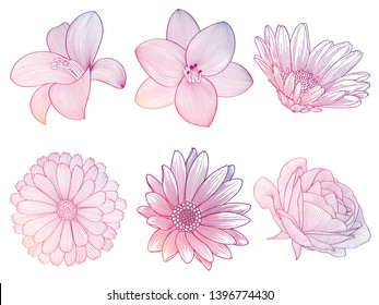 Set of bright abstract hand-drawn flowers of lily, chamomile, rose. Floral elements for invitations, cards, greetings.