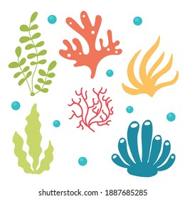 Set of bright algae and corals. Bundle Sea and ocean aqua underwater flora. Vector flat isolated illustration