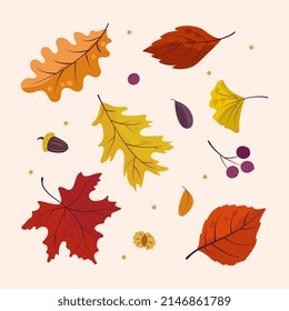 Eine Reihe heller Herbstblätter
