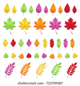 A set of bright autumn leaves to create a decor.