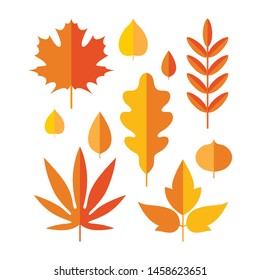 Set of bright autumn leaves in flat style. Stylized leaves of maple, Rowan, oak, birch, aspen, Linden. Autumn seasonal design. Isolated vector object on white background.