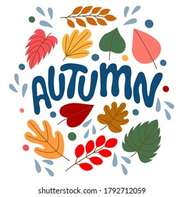Set of bright autumn leaves and inscription - autumn, in vector graphics on a white background. For the design of postcards, posters, prints for covers, mugs, T-shirts, bags, wrapping paper.