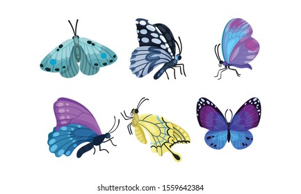 Set Of Bright Beautiful Colorful Butterflies Vector Illustration