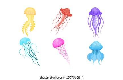 Set Of Bright Beautiful Colorful Jellyfishes Vector Illustration