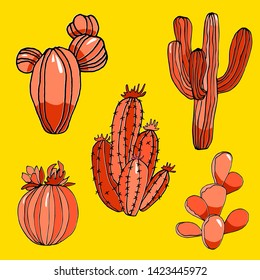 set of bright cacti, vector drawing
