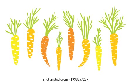 Set of bright carrots on a white background in a hand-drawn style.