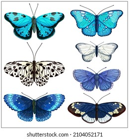 Set of bright cartoon butterflies. Vector graphics on a white background.
