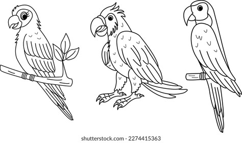 A Set of Bright Cartoon Parrots for Pages Coloring. Vector Illustration of Tropical Cute Parrots