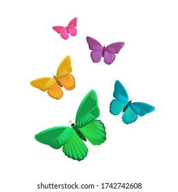 Set of bright color butterflies isolated on white. Different colors of spring summer buttefly. Vector design element.