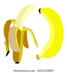 A set of bright colored bananas, open and closed. Vector isolated fruits. One banana, peeled banana various shades of yellow on white with yellow shapes. Fresh, natural vitamins. Collection