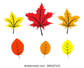 Set of bright colorful autumn flat leaves 
